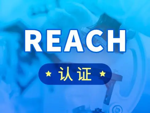 REACH是什么意思？